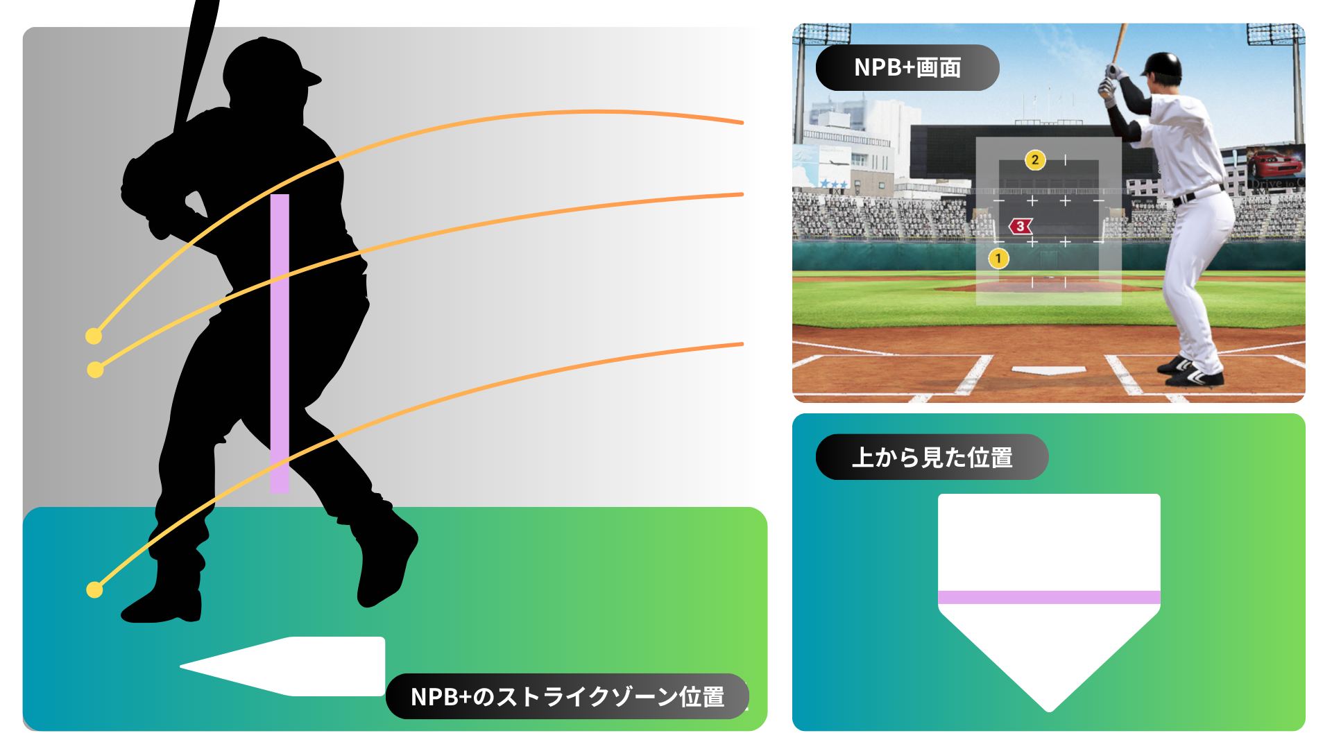 『NPB+』で設定しているストライクゾーンの位置。